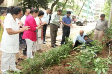 All India Institute of Physical Medicine and Rehabilitation Mumbai Plantation day photo 1